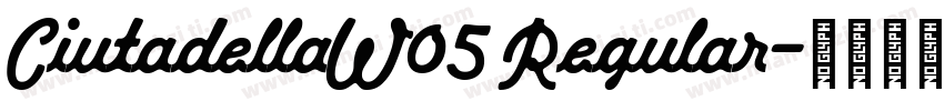CiutadellaW05 Regular字体转换